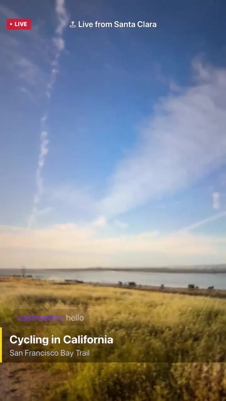 Overlays for mobile live streaming